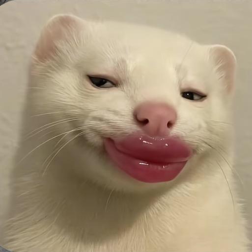 文拽拽-（爱吃香菜版）