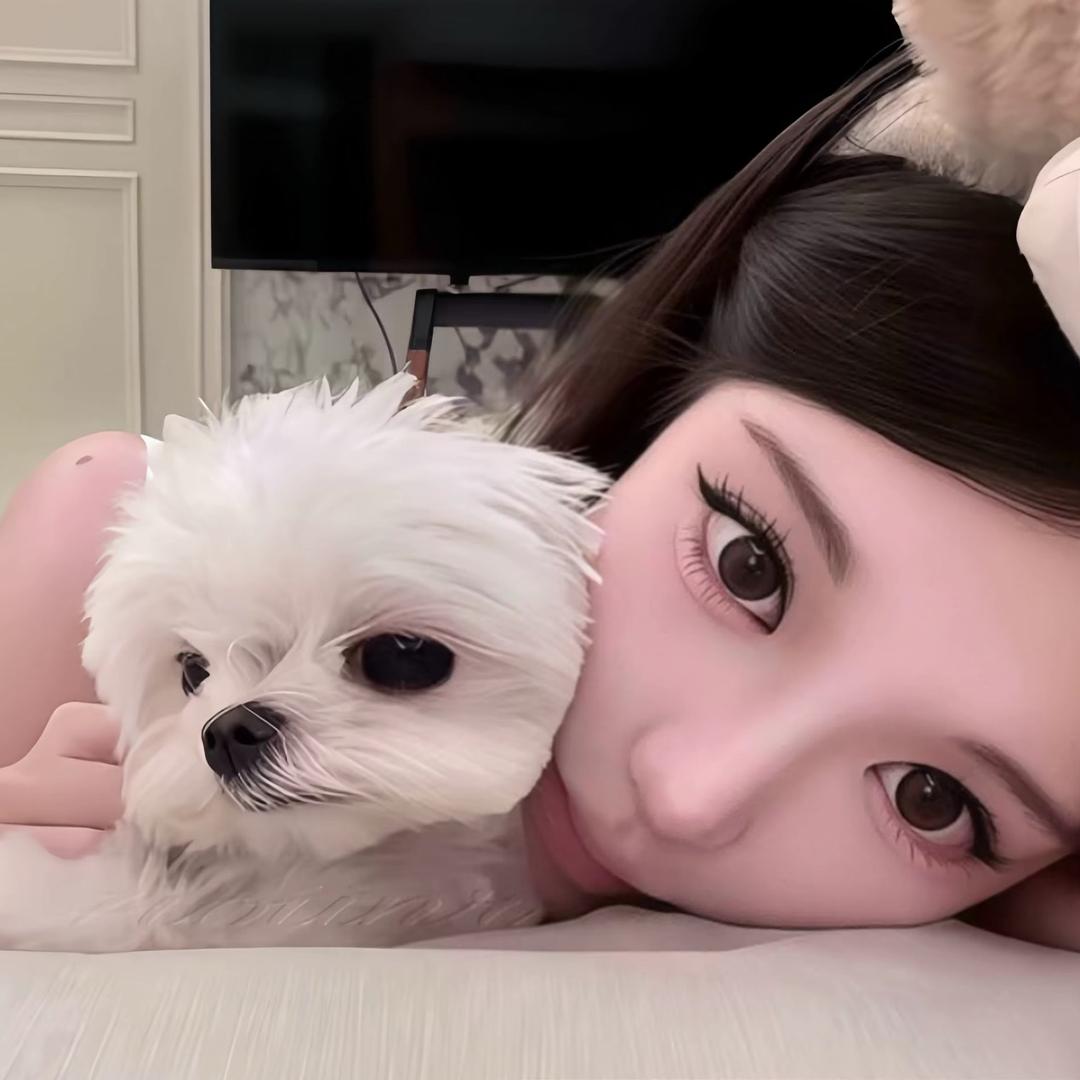 秋安ʕ •ᴥ•ʔ