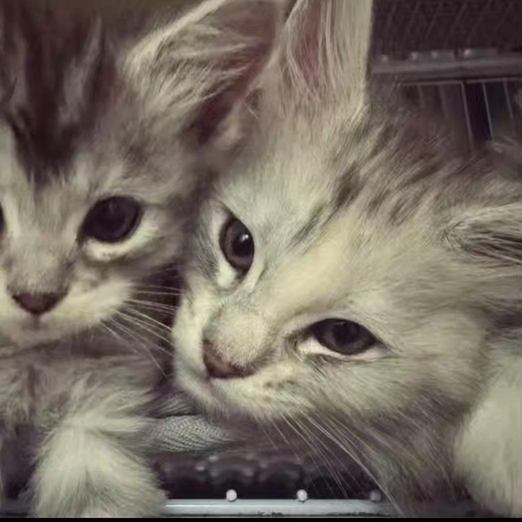 站在世界牛棚之上