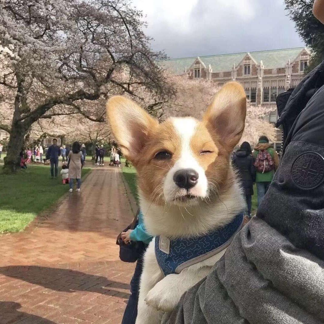等风止❤️
