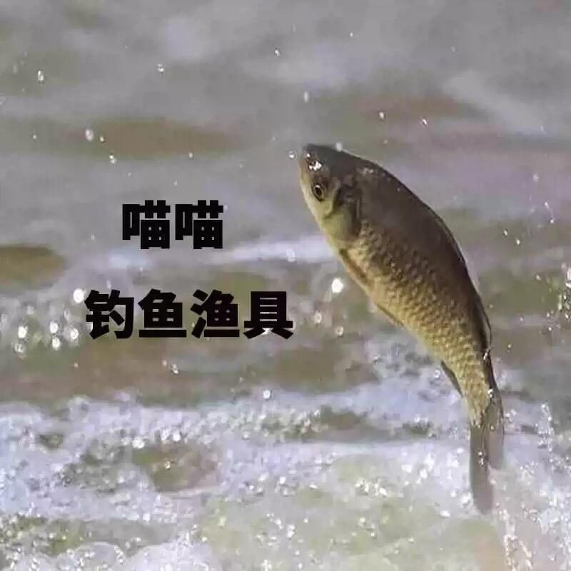 喵喵钓鱼🎣渔具