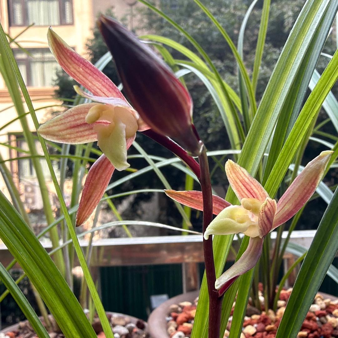 ₍ↂ⃙⃙⃚⃛_ↂ⃙⃙⃚⃛₎澜得虎涂