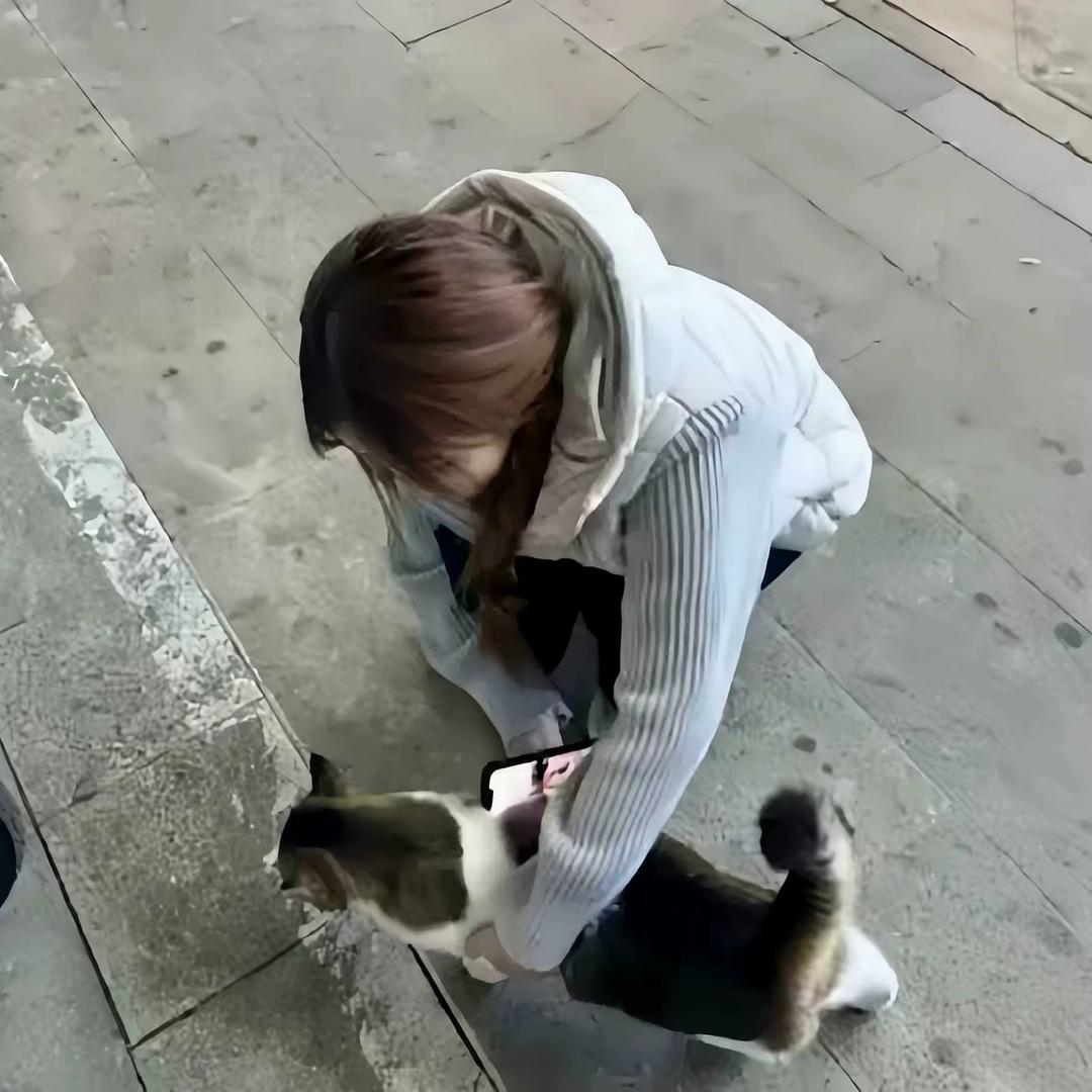 我睡觉的时候不困