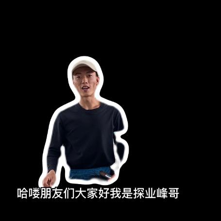 探业锋哥