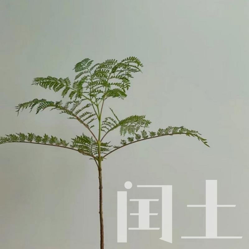 闰土绿植店