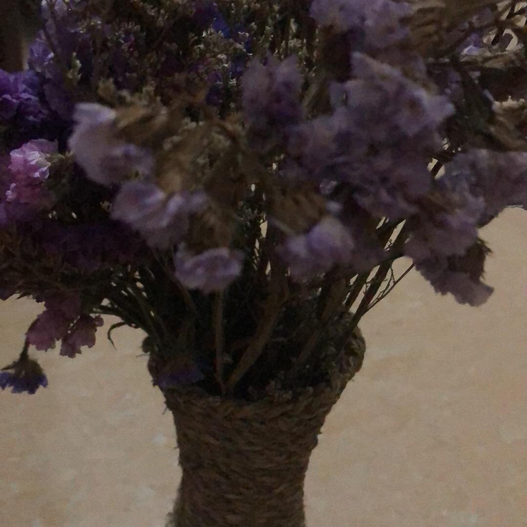 女银银