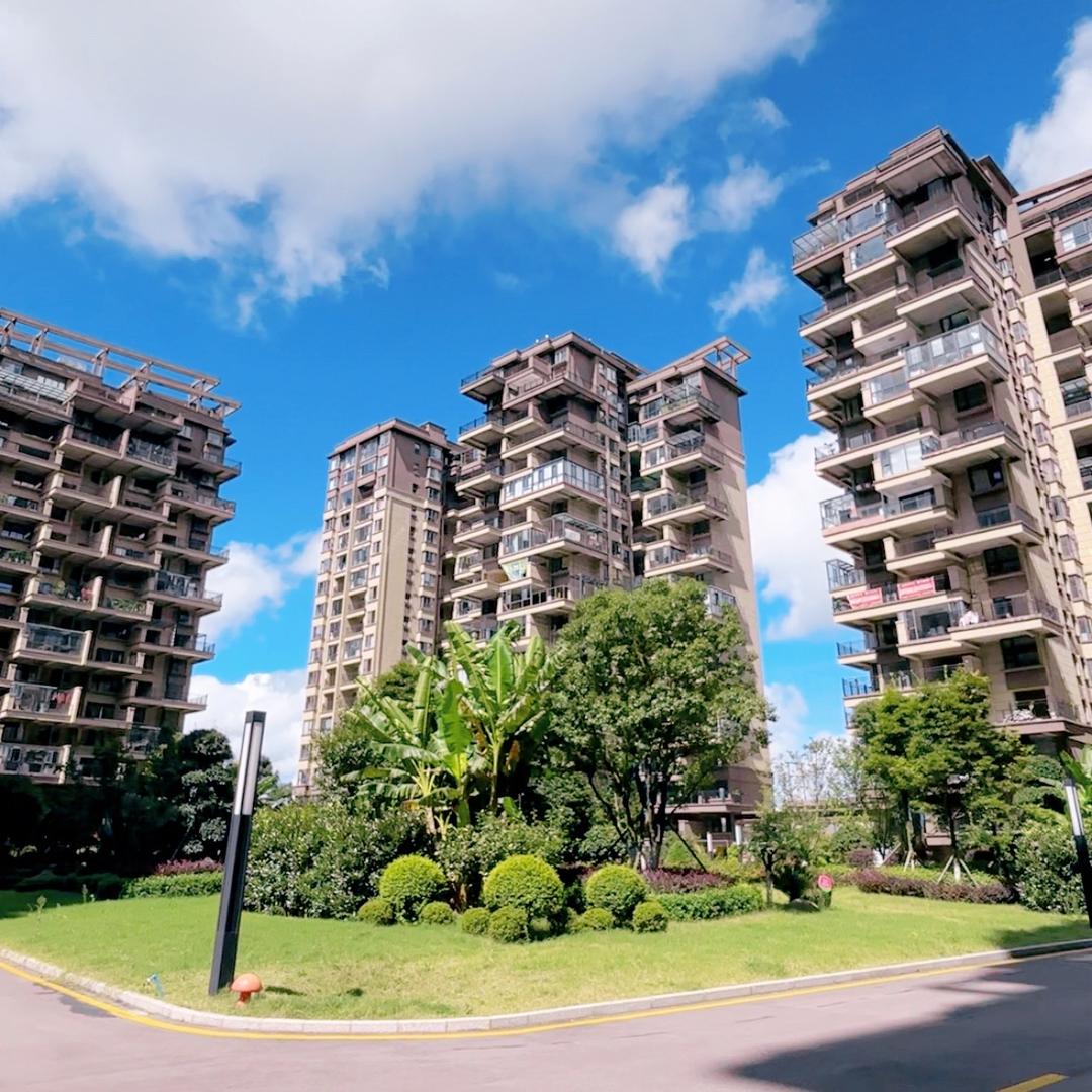 今朝置业（劲舞版）