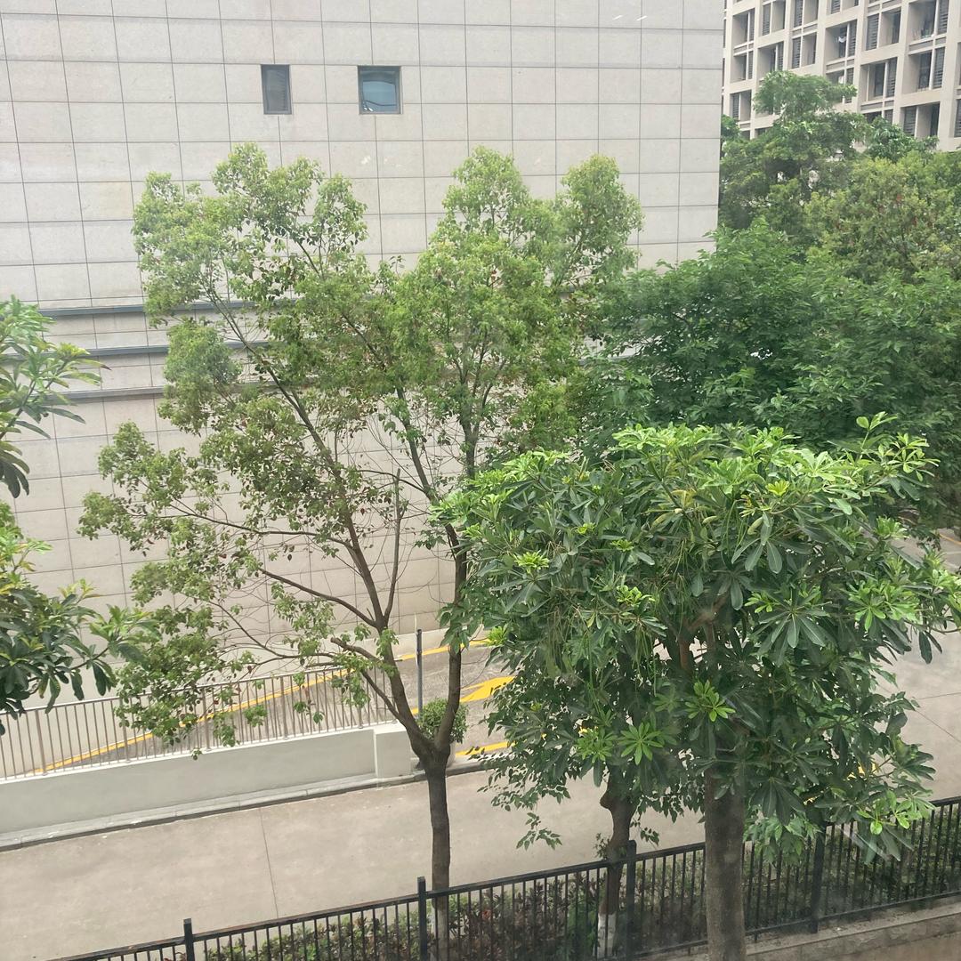 翩翩优选好物