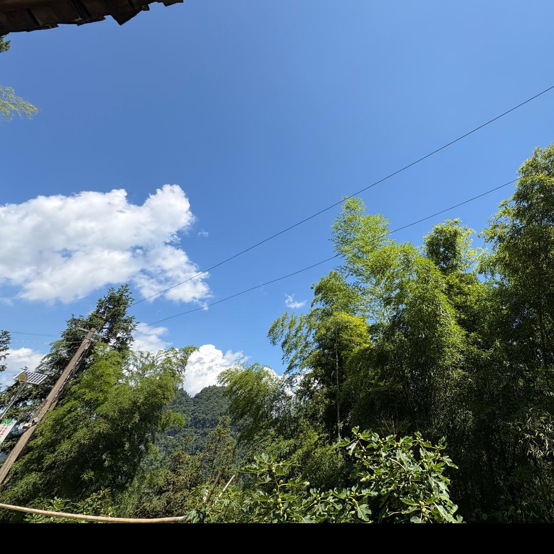 露-露