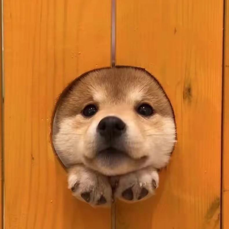 聚纽11乂氼直播号