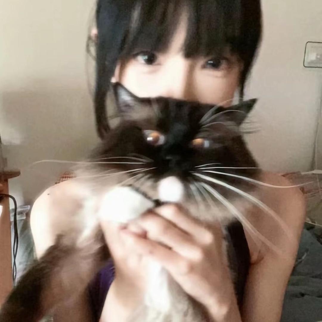一颗糖鱼丸