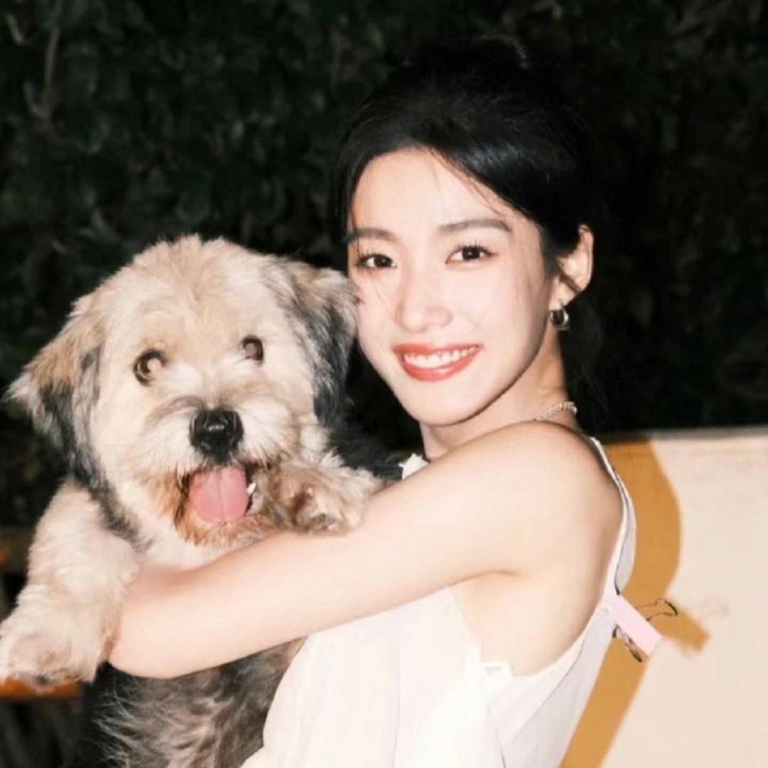 绝对不是杨癫疯