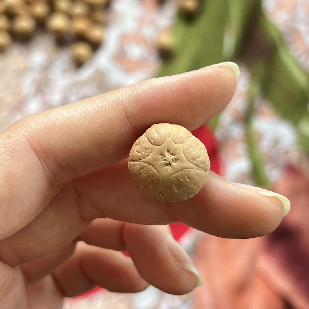 初心凤眼