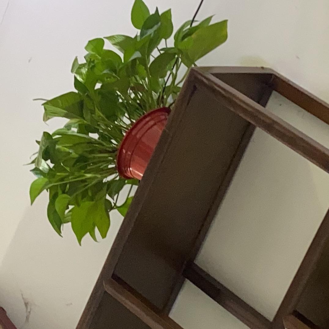 ？？