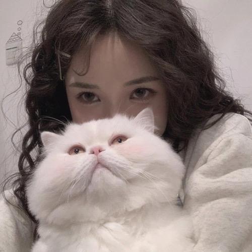锦鲤优选