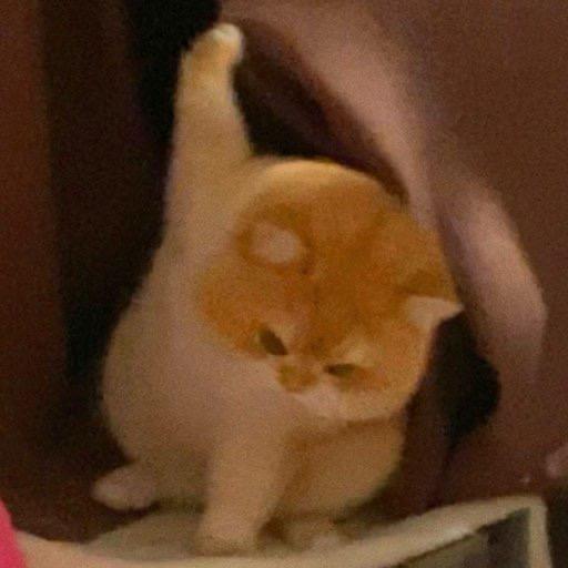 放下手机怎么睡觉