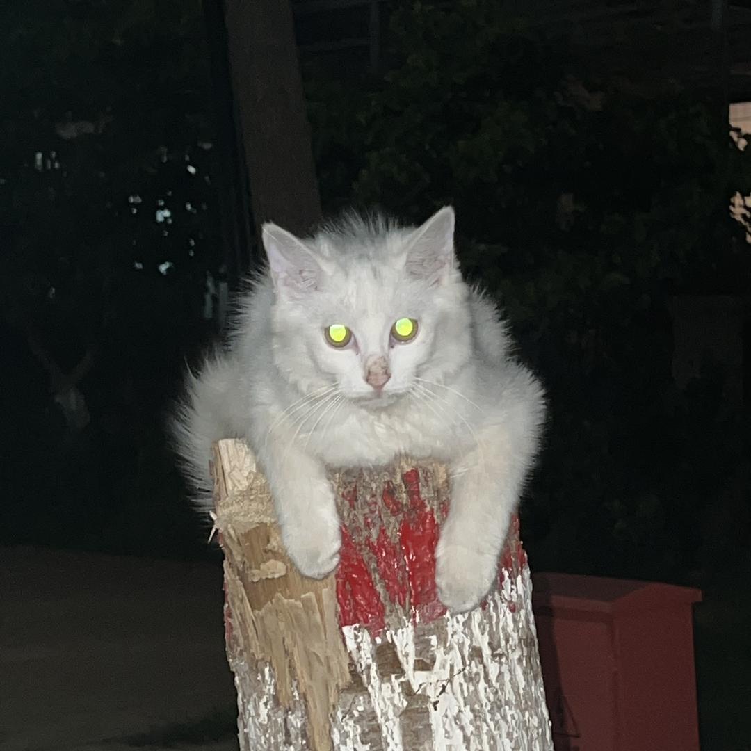 听不懂