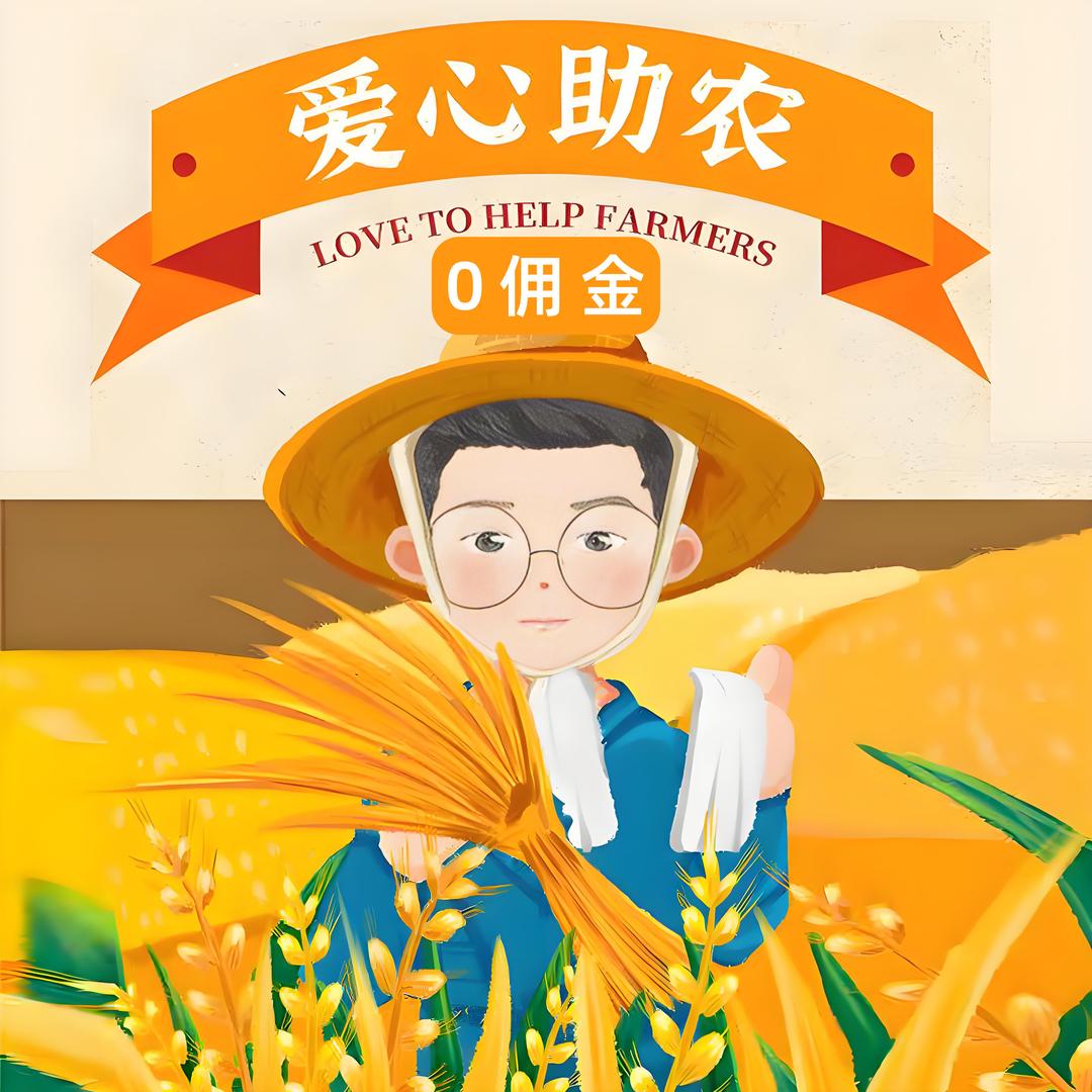我的王国