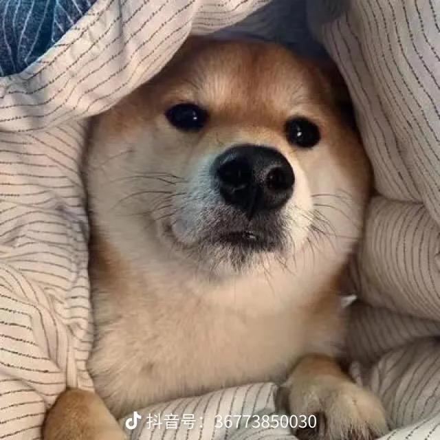 广州睿浩祥美食精选铺