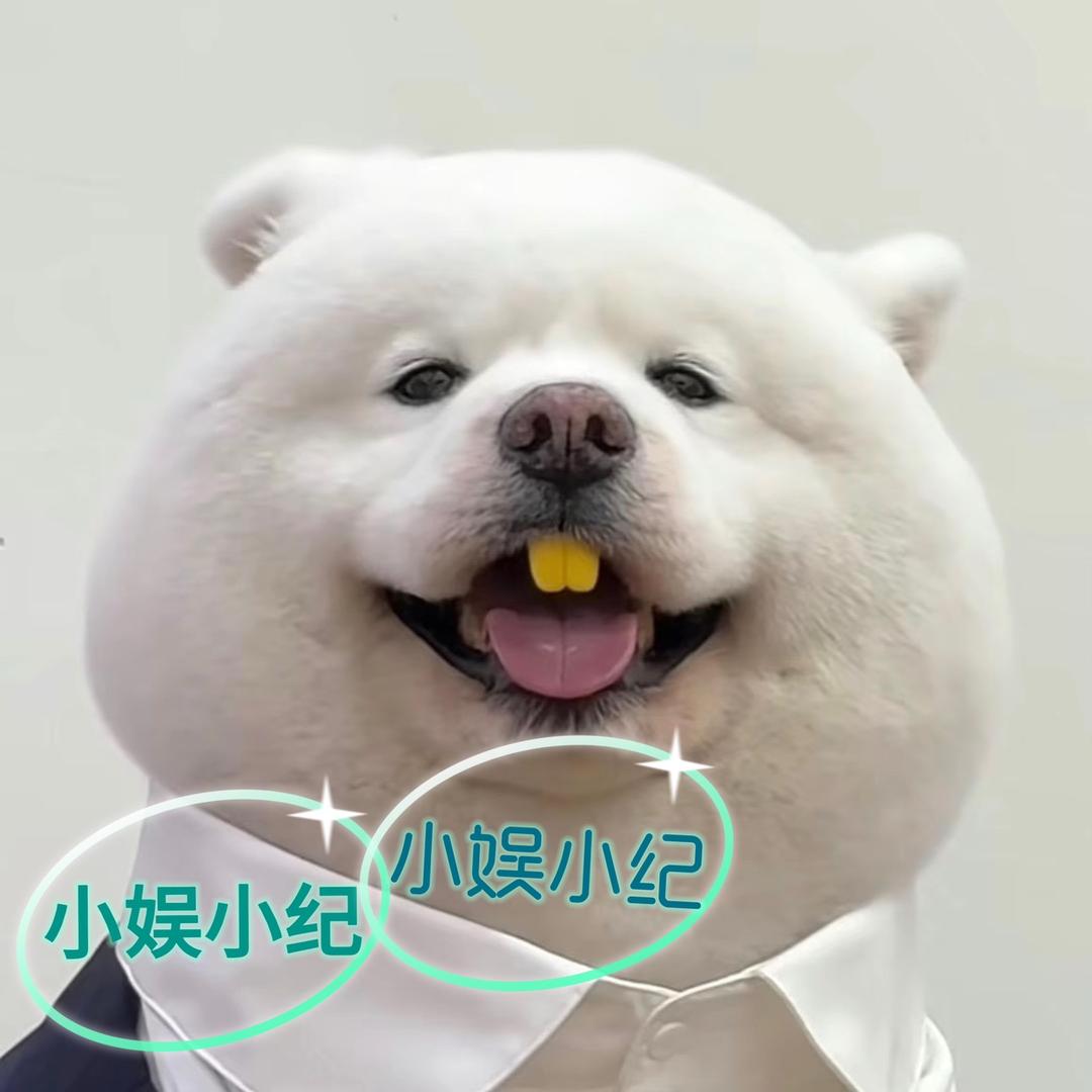 小娱小纪