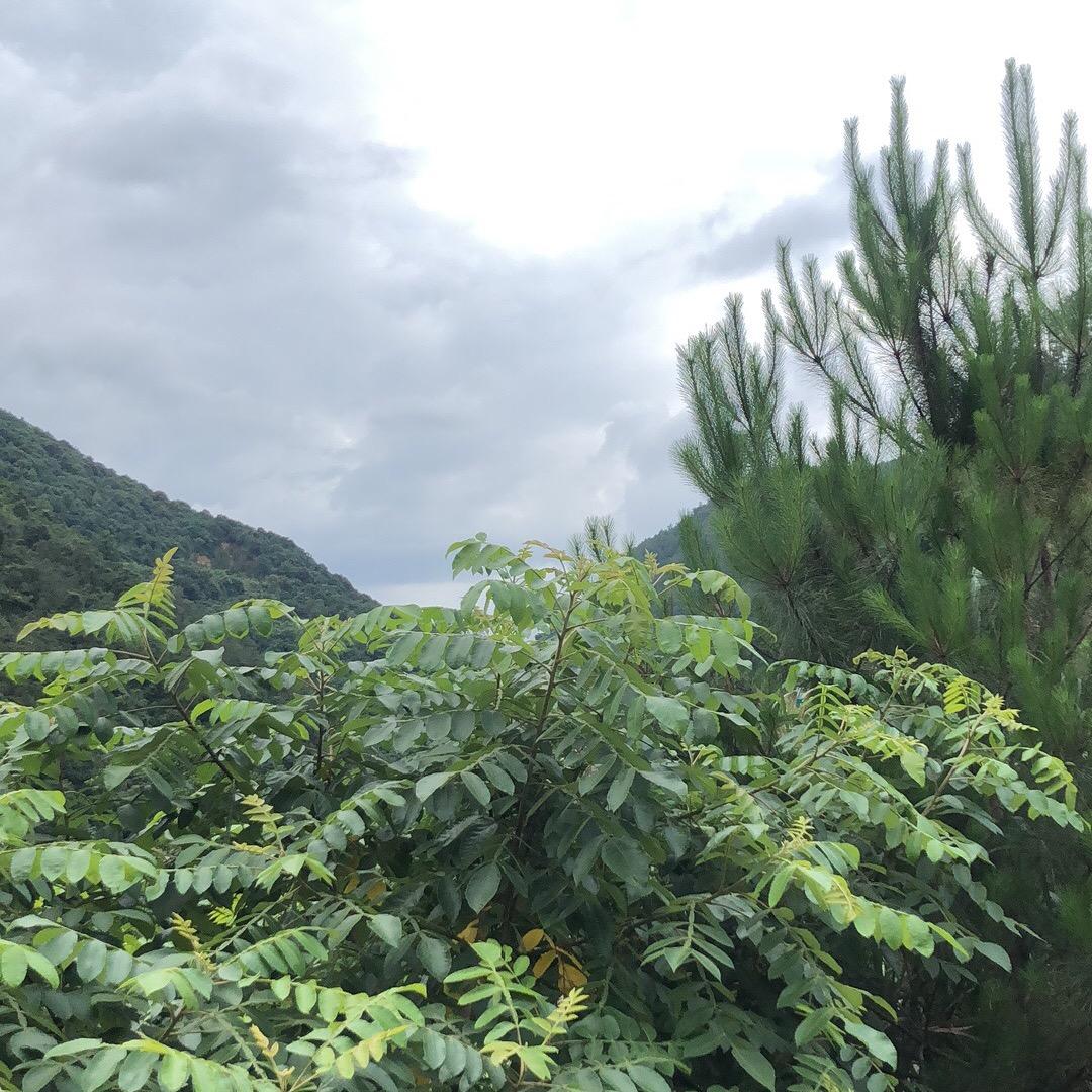 梦想成真💋