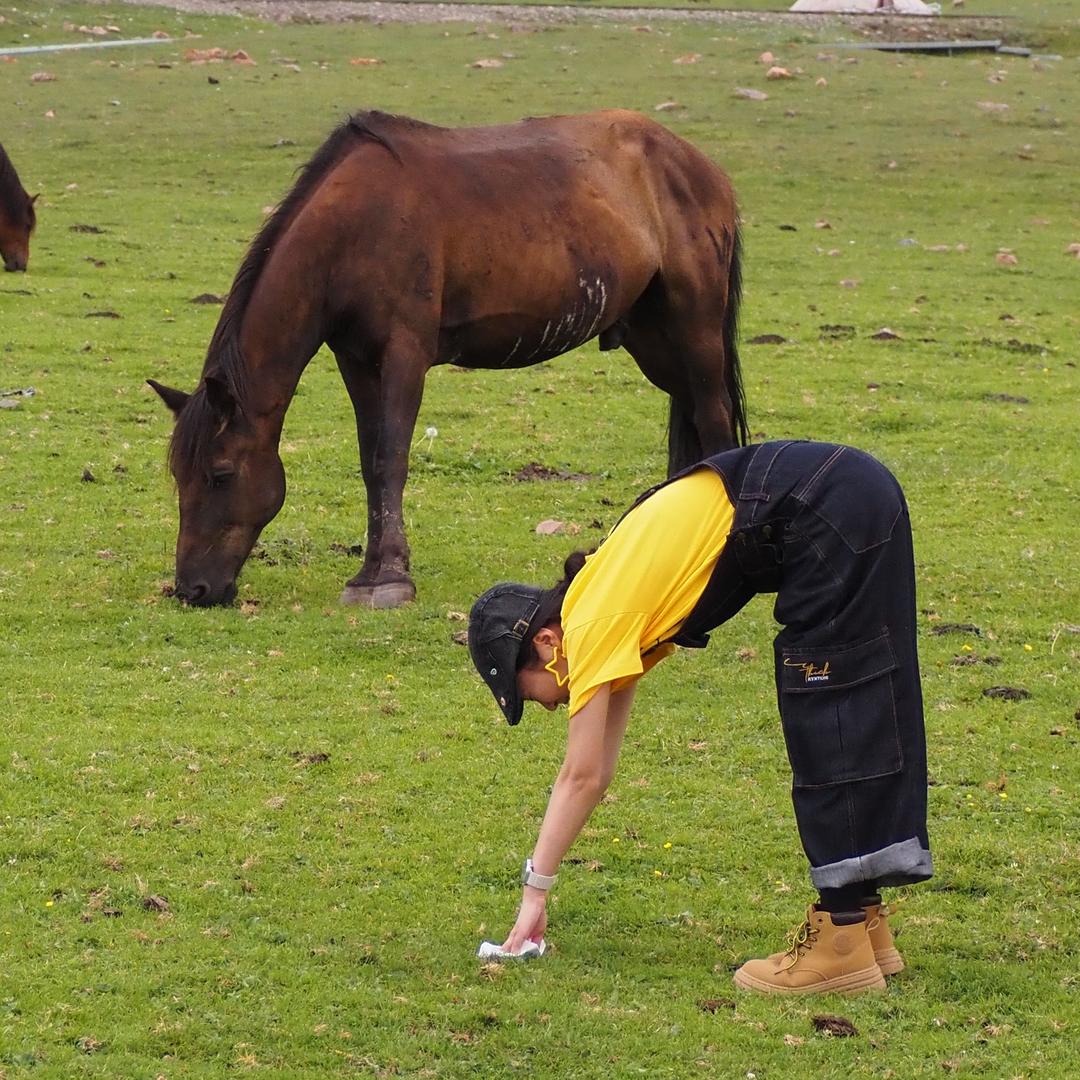 🌈无敌猴子大王
