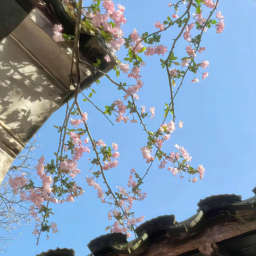 小小不小