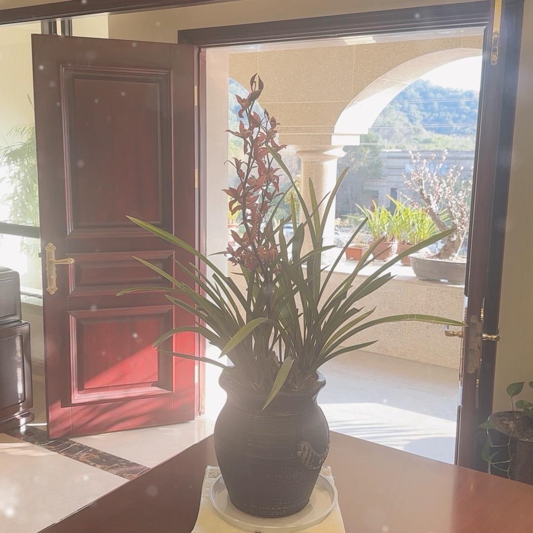 🌜自然生活🌛