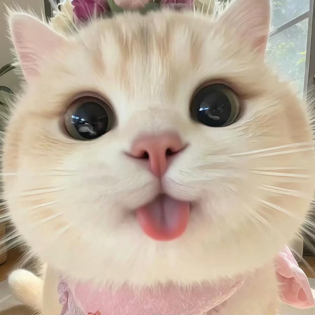 小潇潇💗