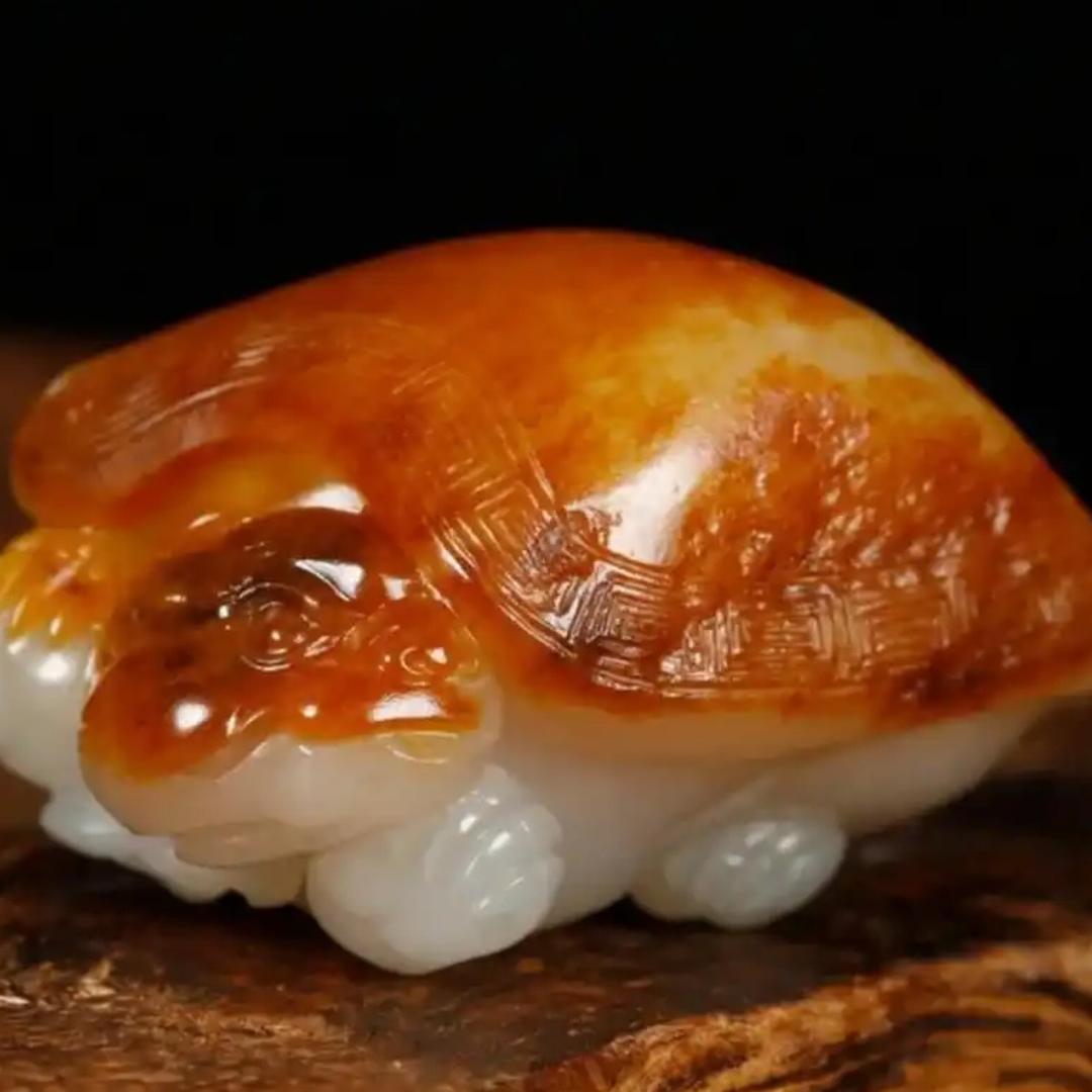 阿朋籽玉