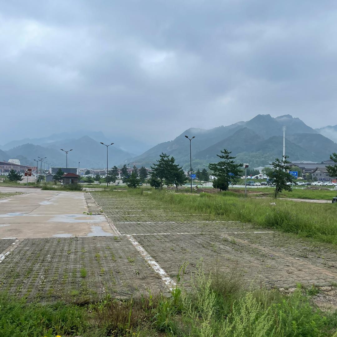 我是玫瑰