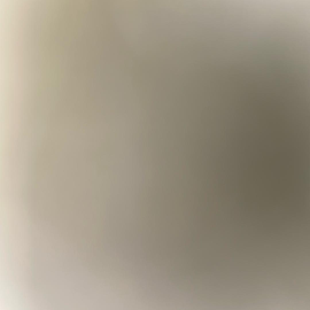 依法模式下