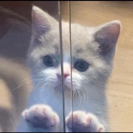 吕子乔会搭讪的那种美女