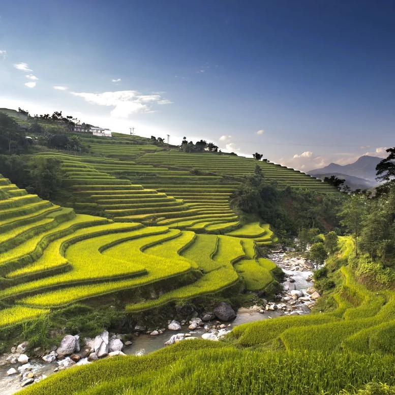 艾贝猫宠物用品