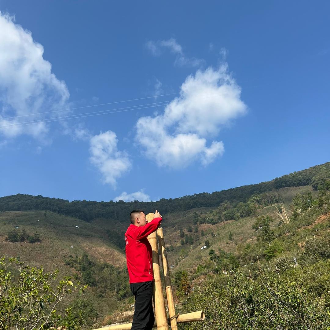 润仙茗茶业 自家茶园