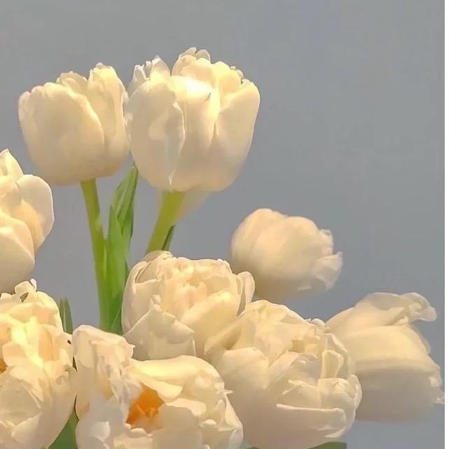 傻里傻气