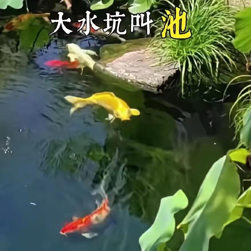 滨河阳光明媚