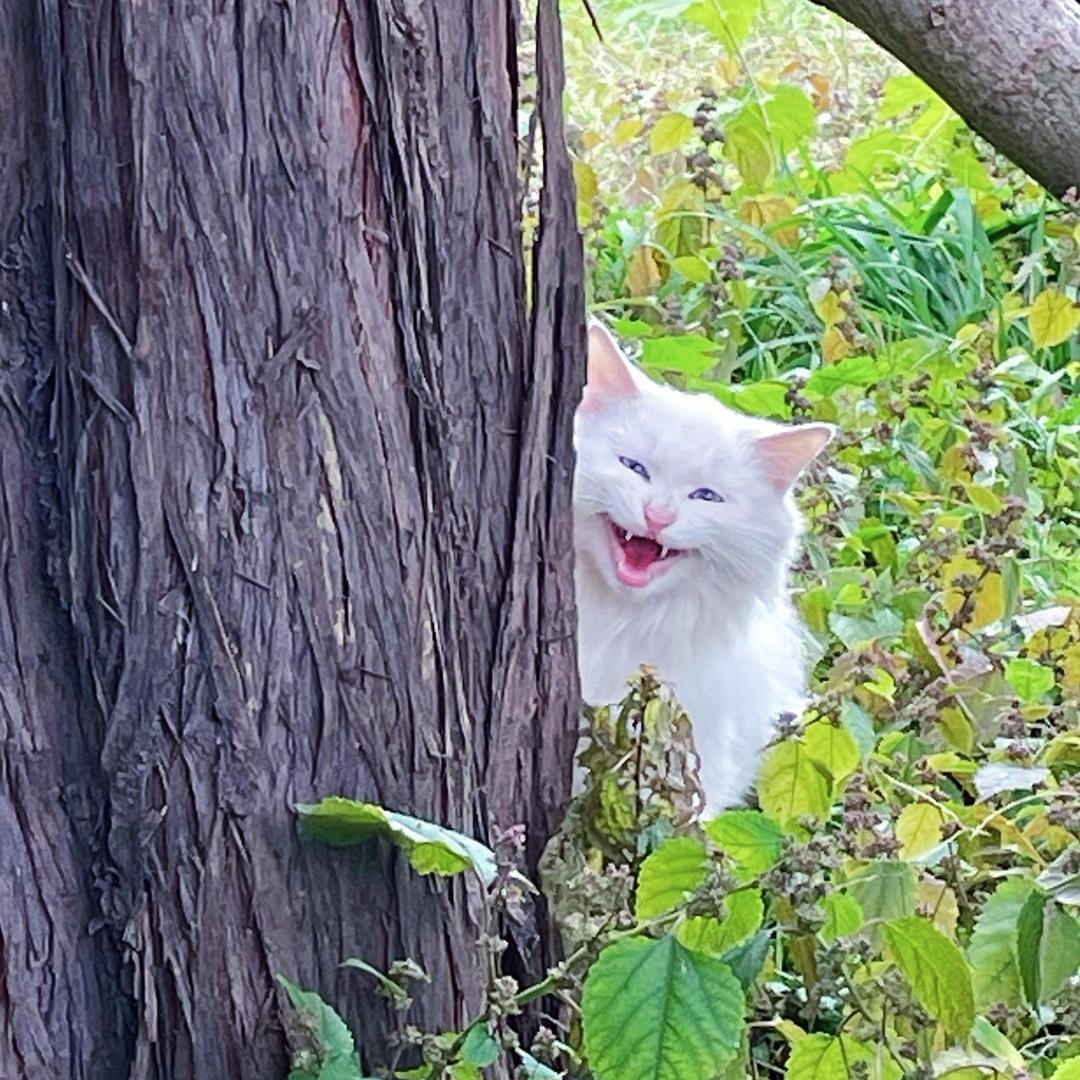 满满北京逛吃版