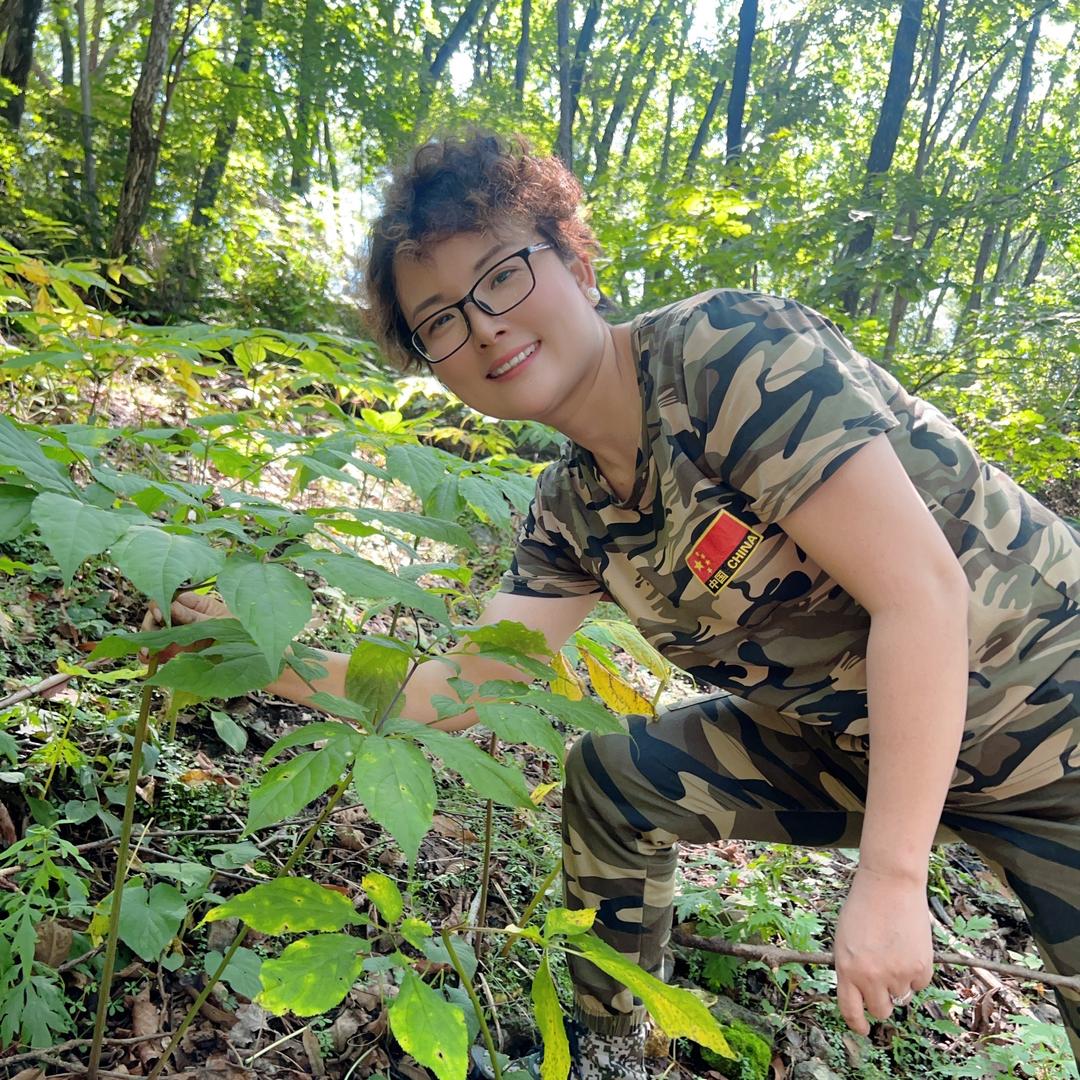 九品龙参优品铺子