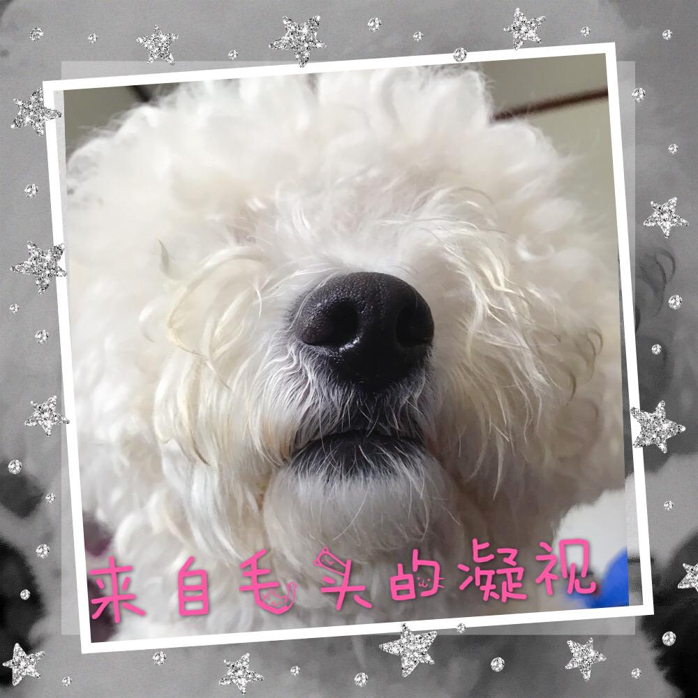 我想吃鱼腿