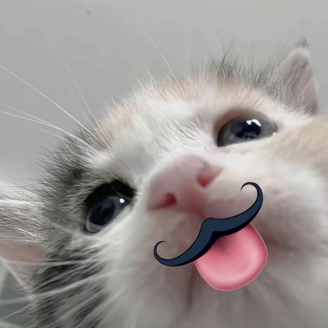 记得要关静音.🐾