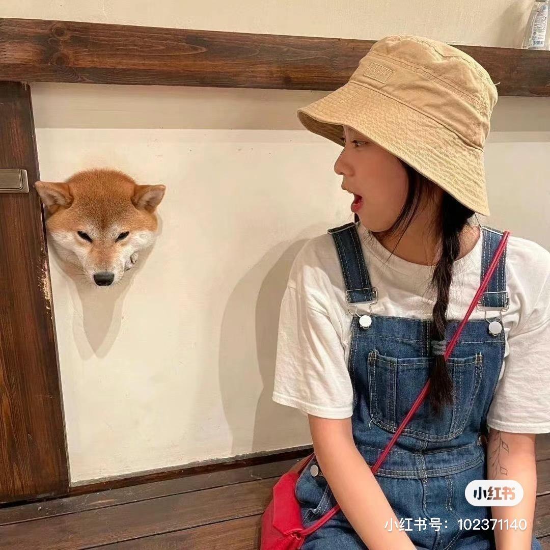 可爱敏敏王