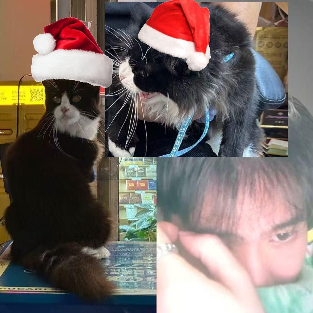 权威兜兜和小吴路飞🩵💚