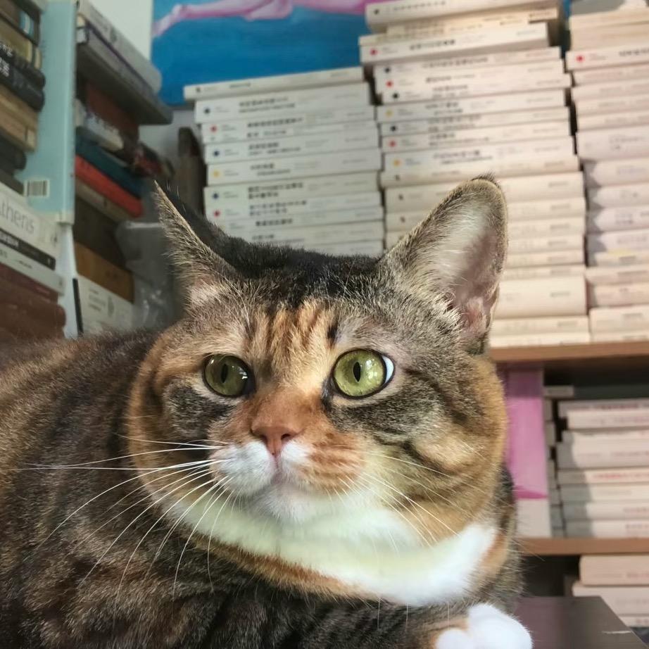 橘子是不能吃的🍊