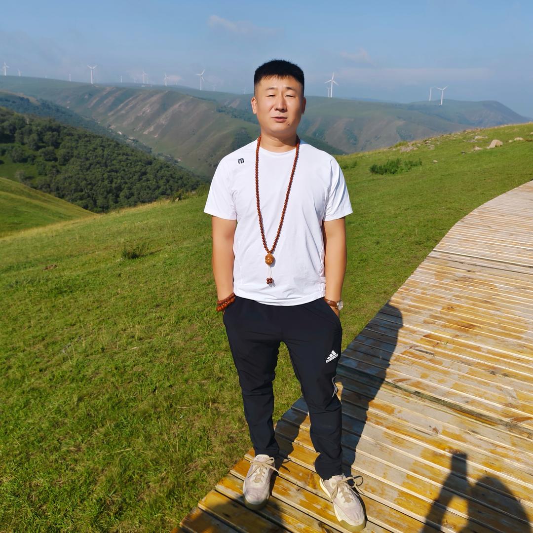 元宝当家