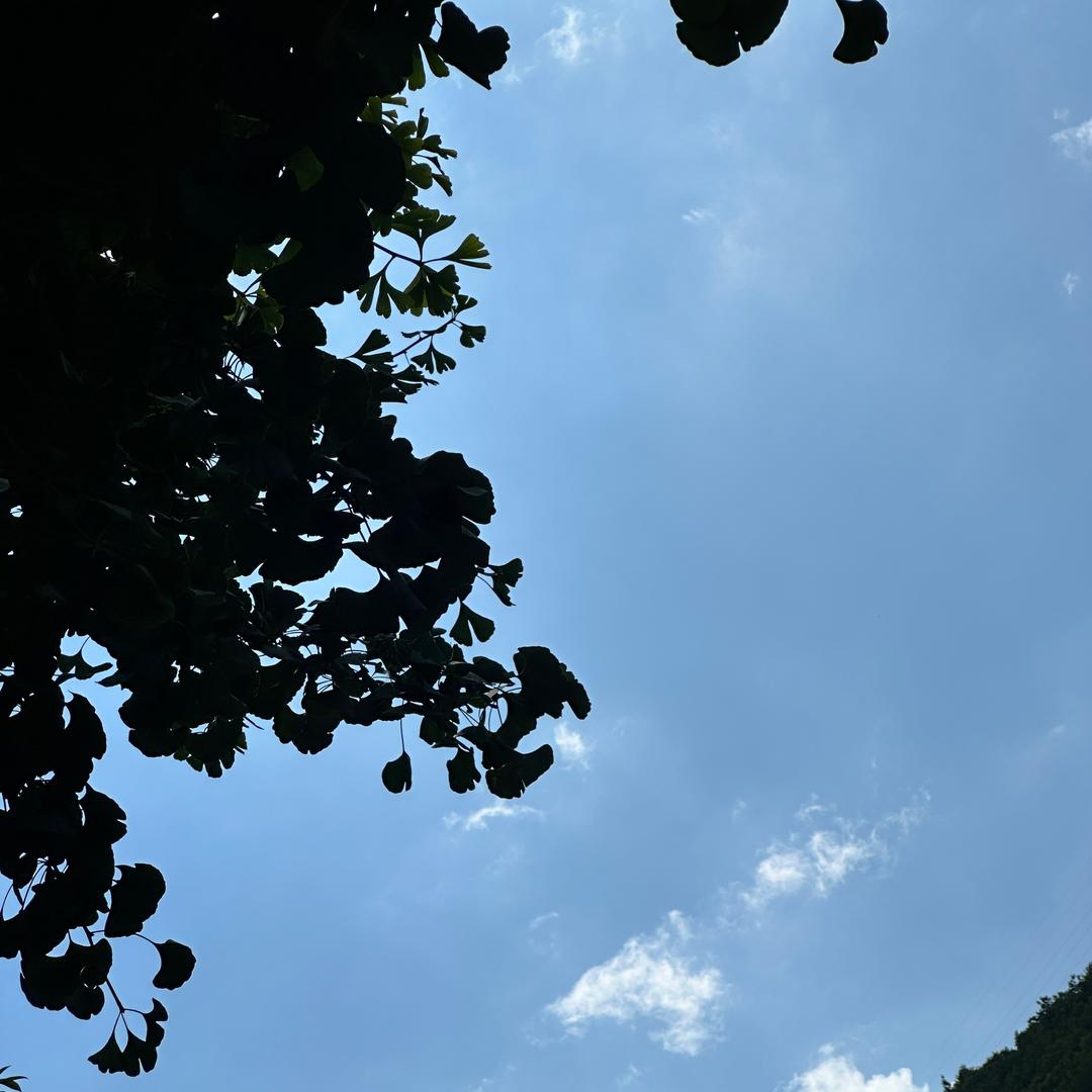 11.