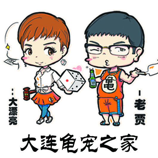 大连龟宠之家1号