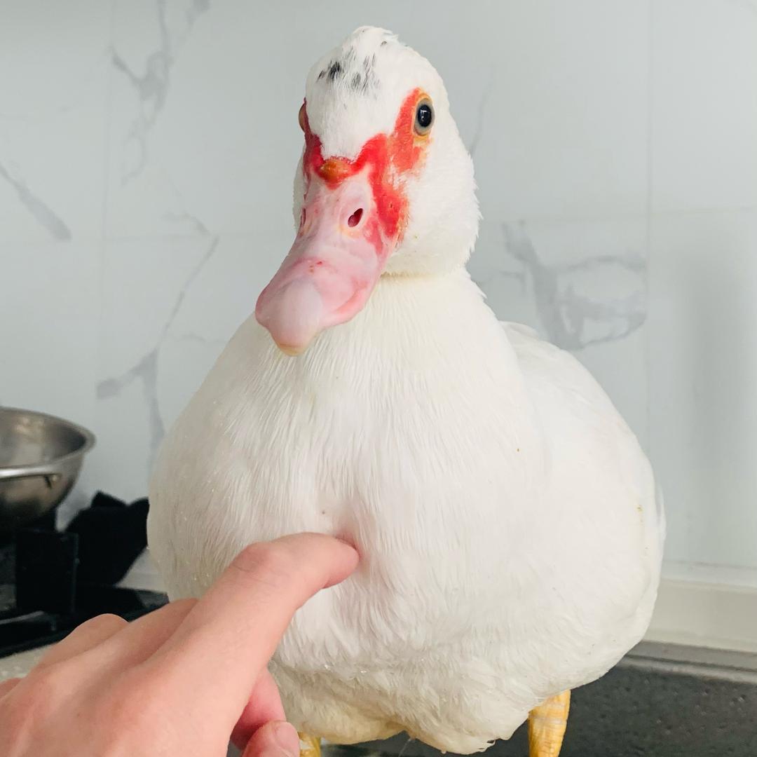 小可爱的老头子🎯🎹