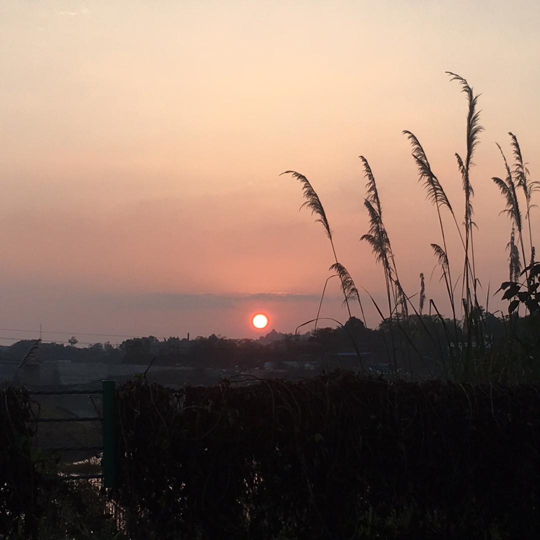 自贡彩灯美工小李