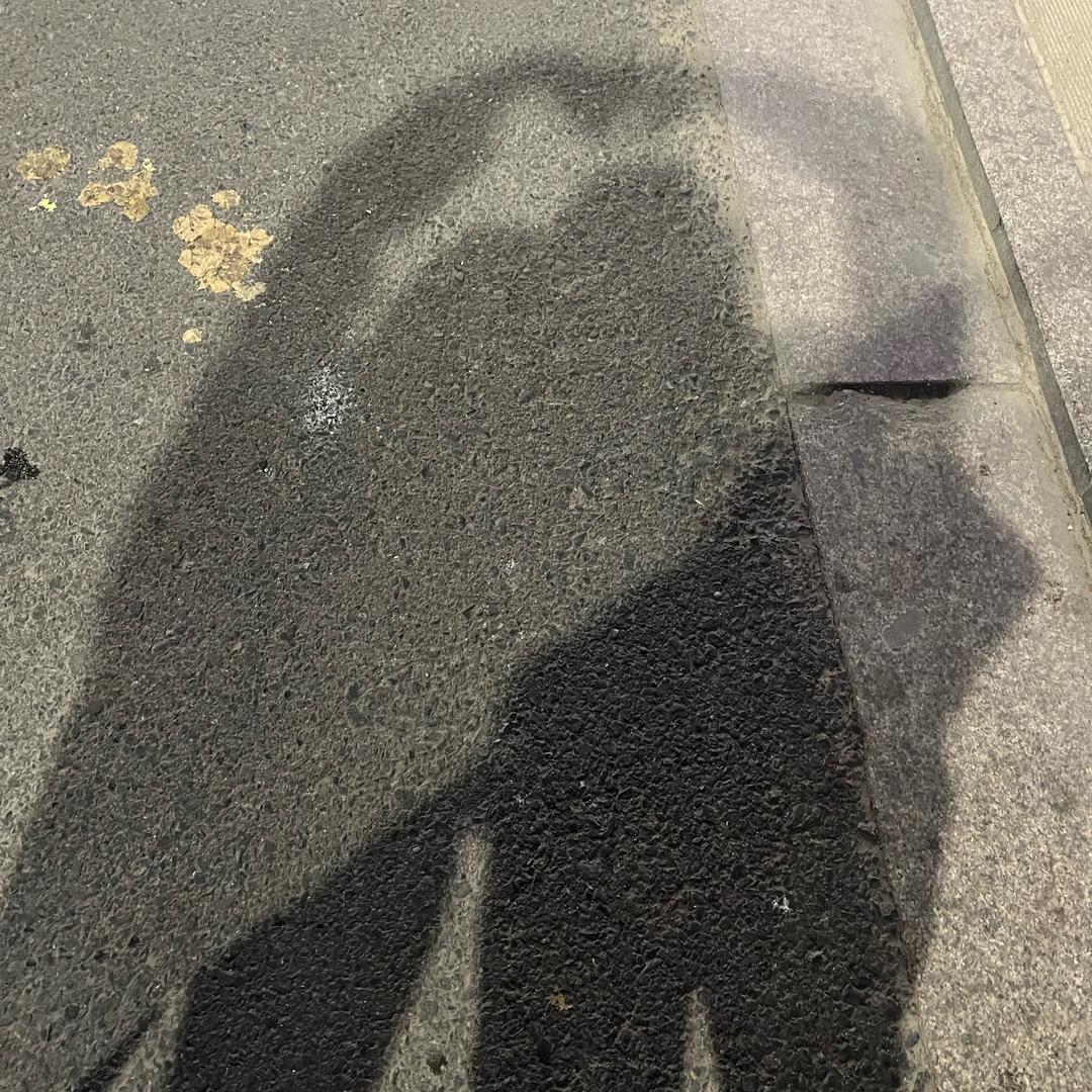 ꧁念᭄ʚঐɞ梦᭄꧂